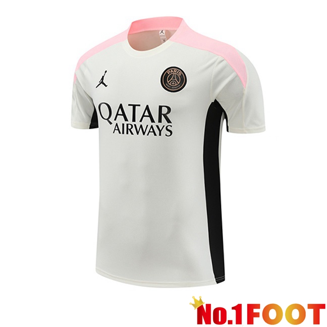 Paris PSG Training T Shirt Grey 2024/2025