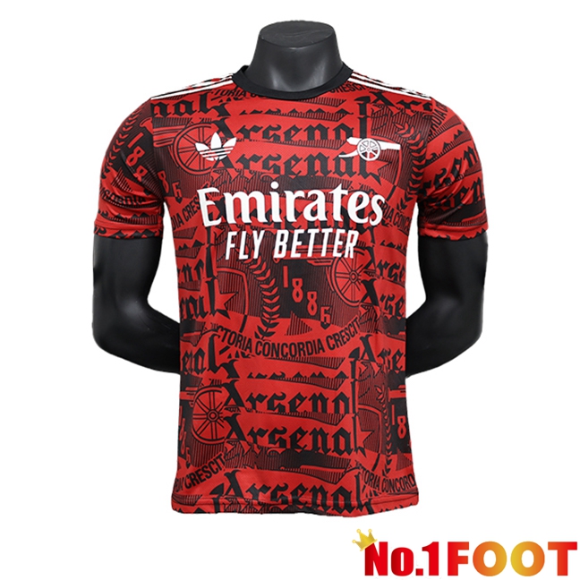 Arsenal Football Jersey Special Edition Red 2024/2025