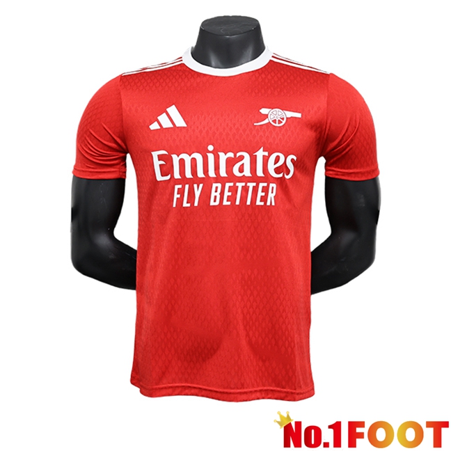 Arsenal Football Jersey Special Edition Red 2023/2024