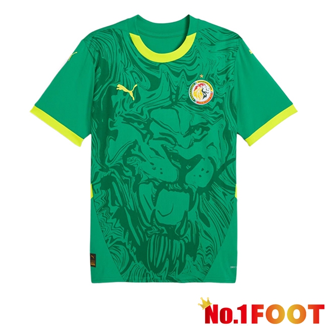 Sénégal Away New Football Jersey 2024/2025