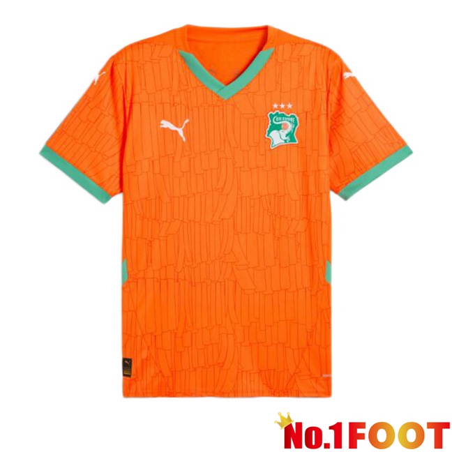 Ivory Coast Home Football Jersey Orange 2024/2025