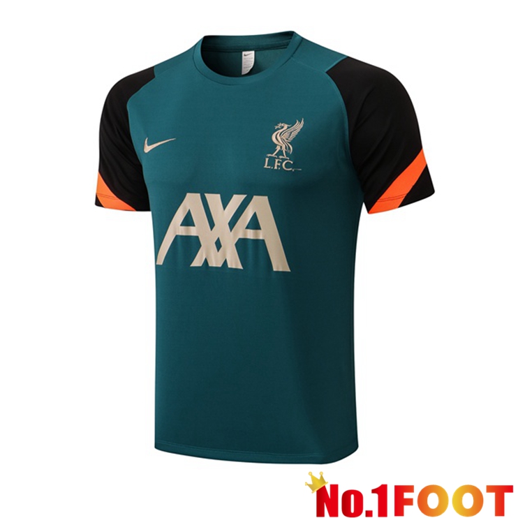 FC Liverpool Green Training T Shirt 2022/2023